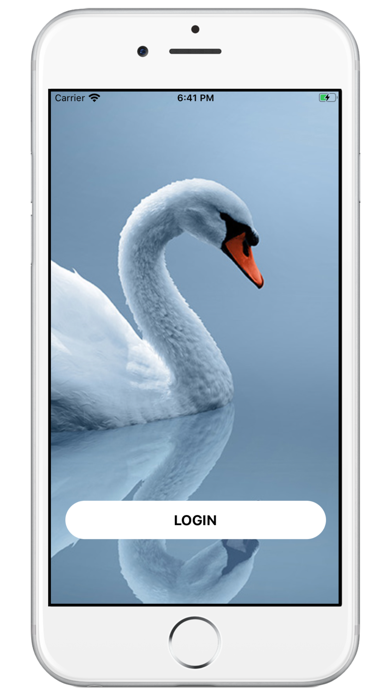 Wildlife Incidents Screenshot