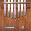 Kalimba Real problems & troubleshooting and solutions