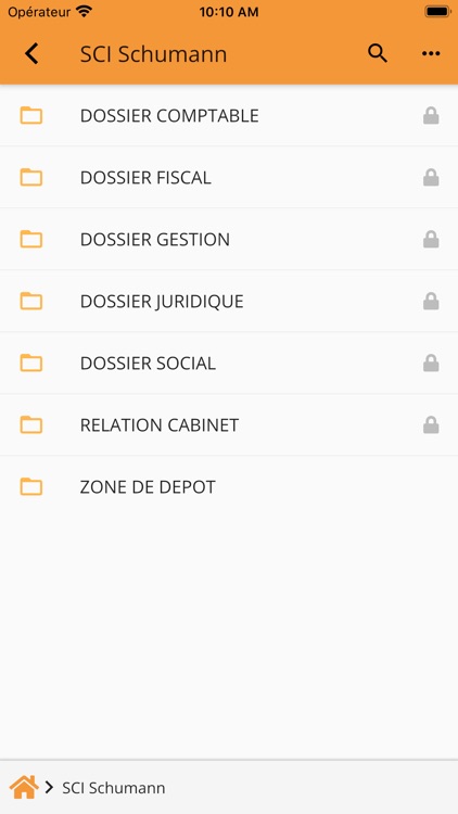 MyCompanyFiles screenshot-3