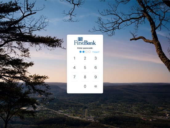 FB Mobile Banking iPad screenshot 2 - Finance app