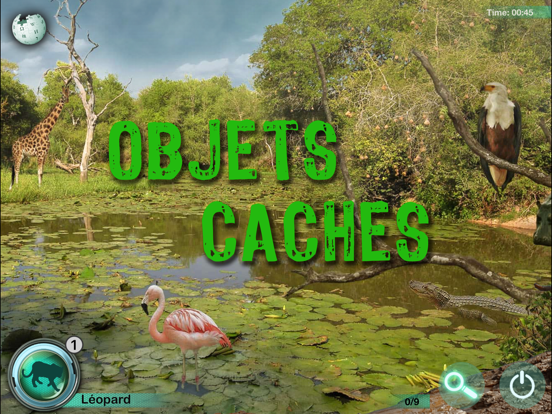 Screenshot #4 pour Animaux: Objets Caches