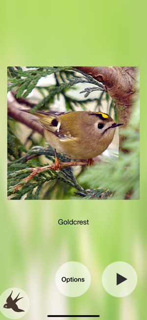 Chirp! Bird Songs UK & Europe(圖7)-速報App