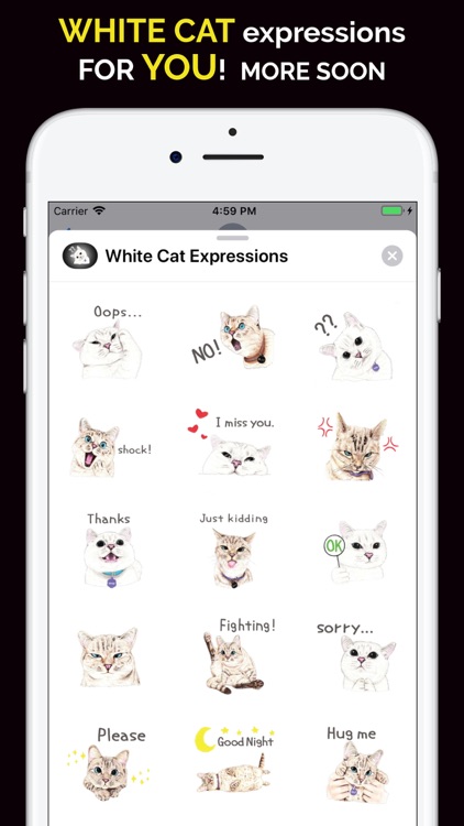 White Cat Expressions screenshot-3