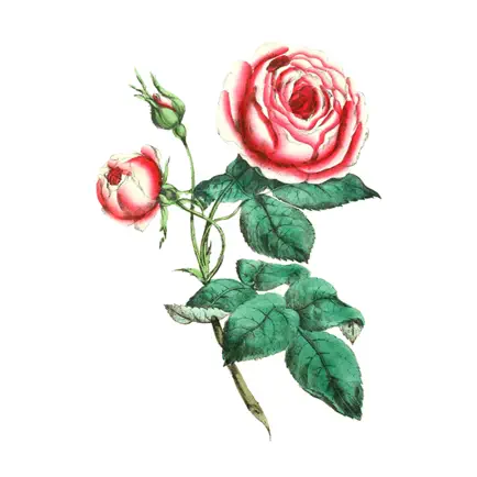 Vintage Flower Stickers Читы