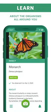Seek by iNaturalist : capture d’écran 3 sur 6