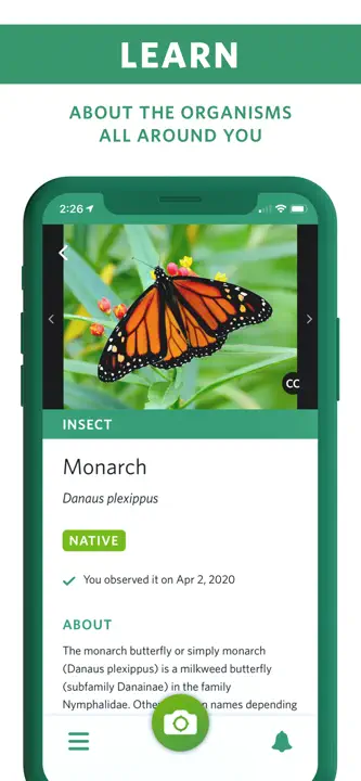 Seek by iNaturalist: Screenshot 3 von 6