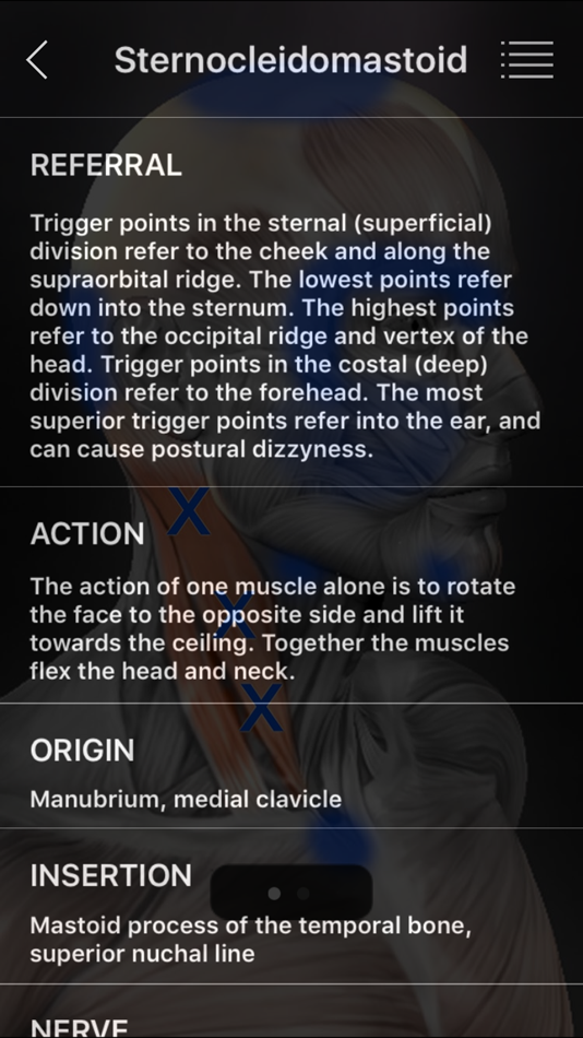 #3. Muscle Trigger Points (iOS) Podle: Real Bodywork