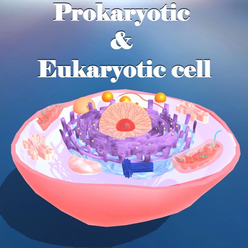 Prokaryotic & Eukaryotic cell icon