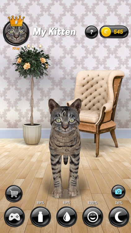 My Kitten (Cat Simulator)