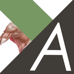 ANATOMIE ET ÉTIREMENTS