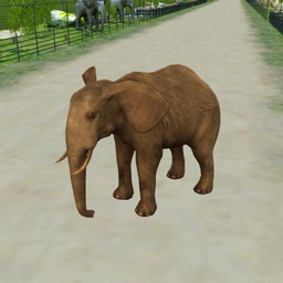 Zoo Escape - 3D Animal Runner