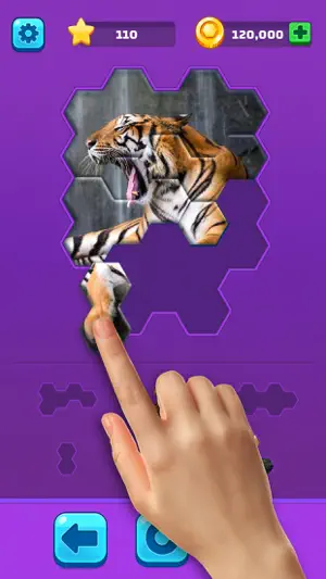Hexa Jigsaw Puzzle ® screenshot 2