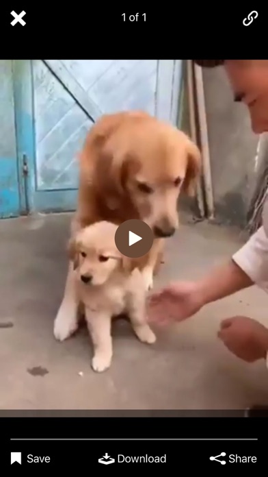 Dog Master - Dog Lover App Screenshot