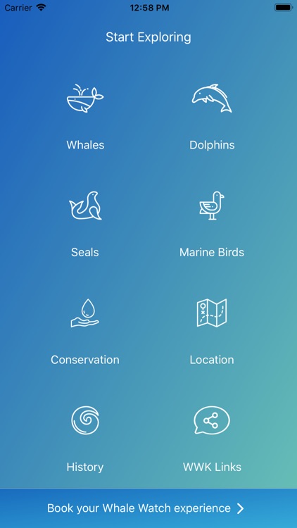 Whale Watch Kaikōura