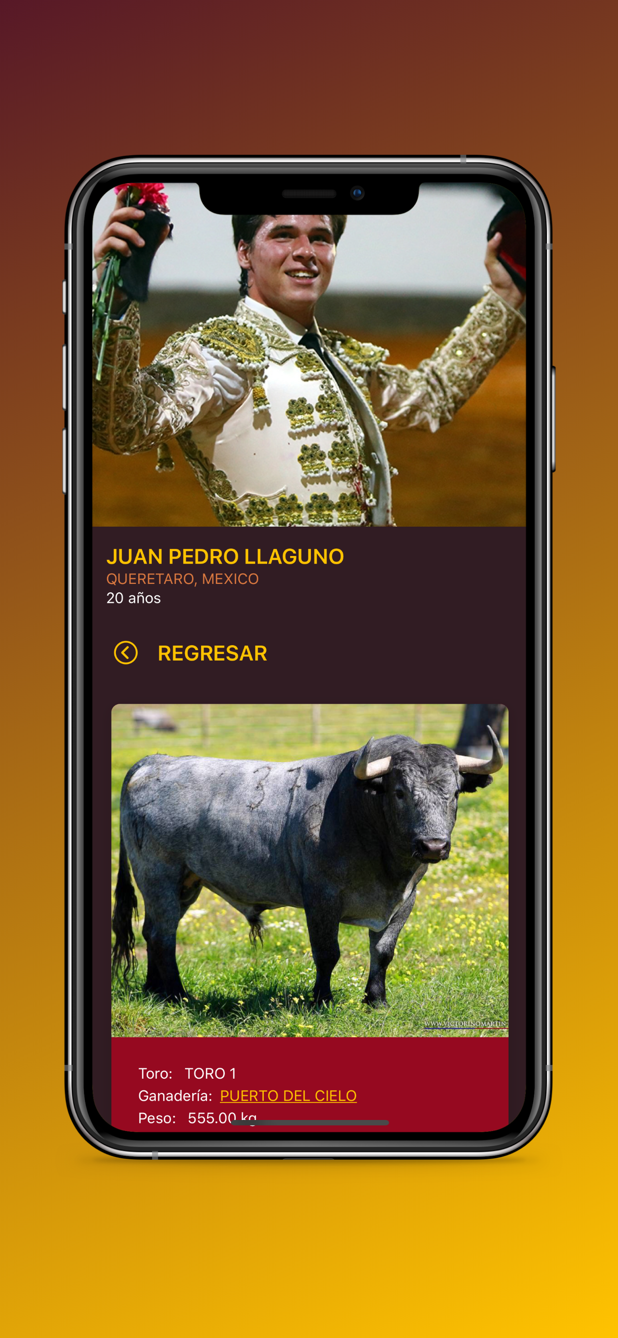 Olé screenshot 6
