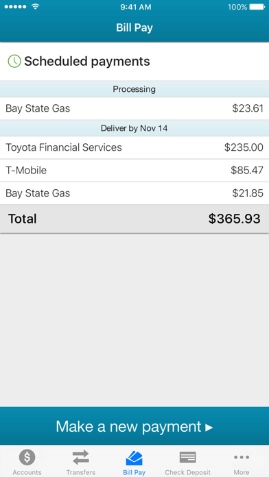 Salem VA FCU Screenshot