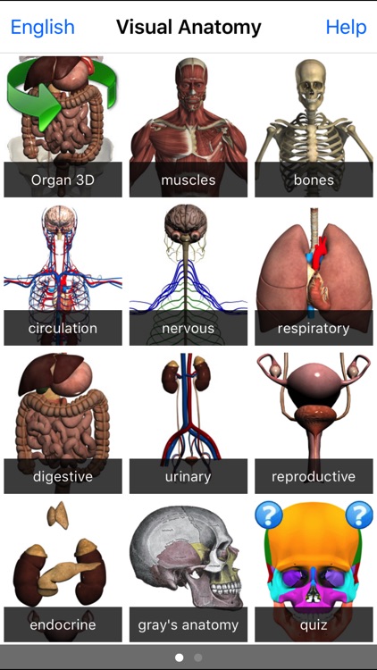 Visual Anatomy screenshot-4