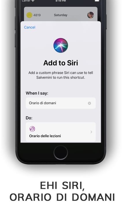 Salvemini screenshot-4