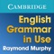 Icon English Grammar in Use: Sample