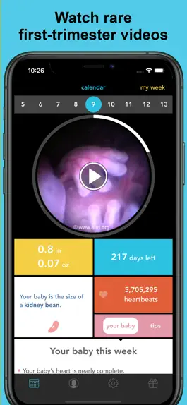 Game screenshot See Baby Pregnancy Guide mod apk