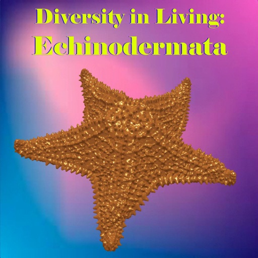 Echinodermata