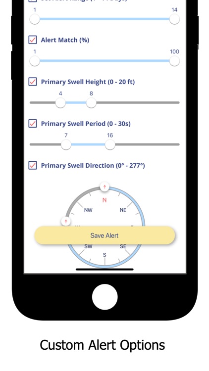 SURFER Forecast screenshot-5
