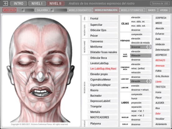 Screenshot #6 pour ARTNATOMYA (en español)
