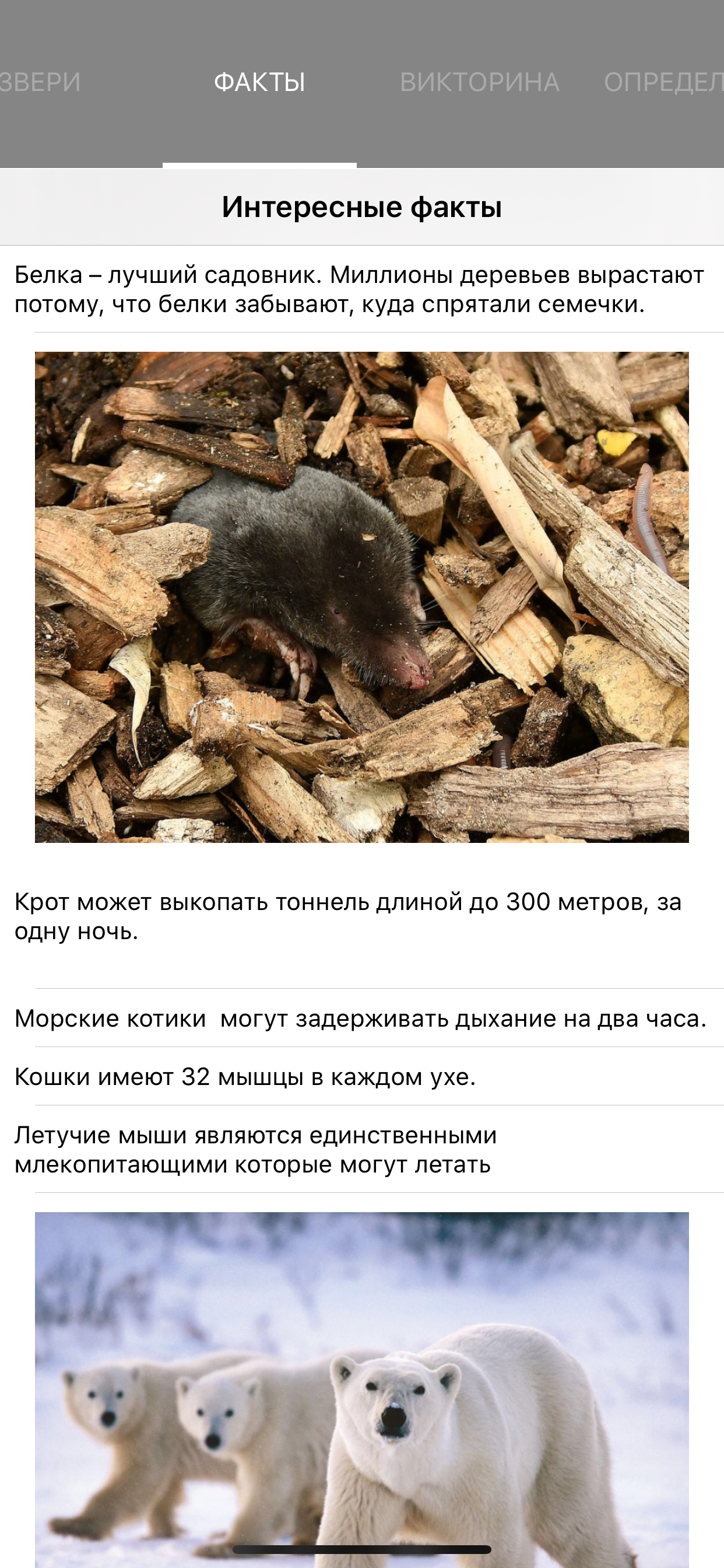 Экогид - Звери screenshot 6
