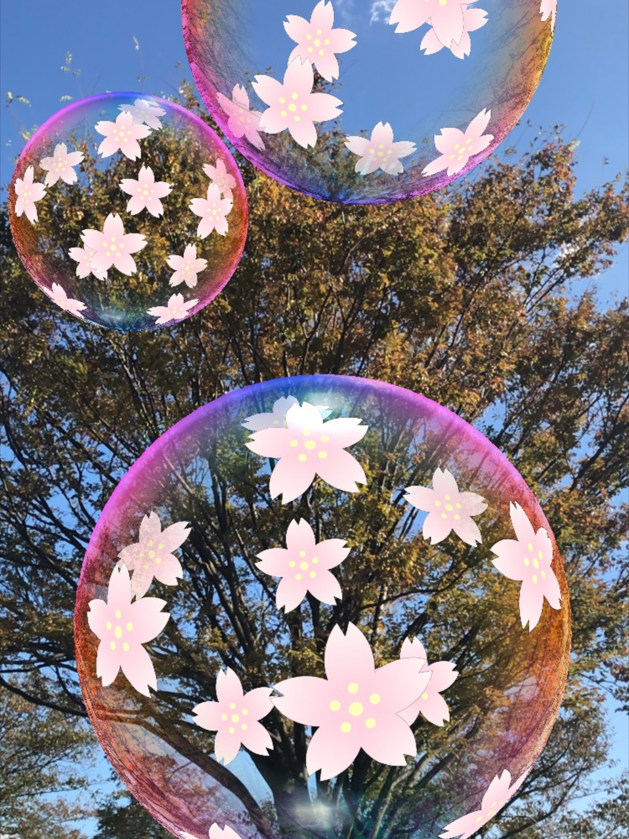 Bubbles AR/MR