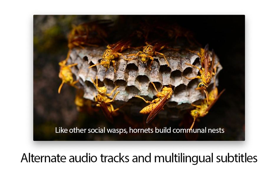 #4. MKPlayer - MKV & Media Player (macOS) di: Rocky Sand Studio Ltd.
