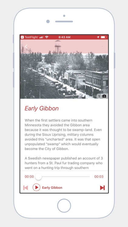 City of Gibbon, MN screenshot-3