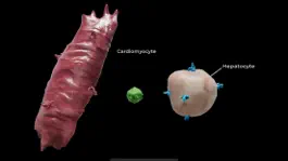 Game screenshot Turning Genes into Medicine hack