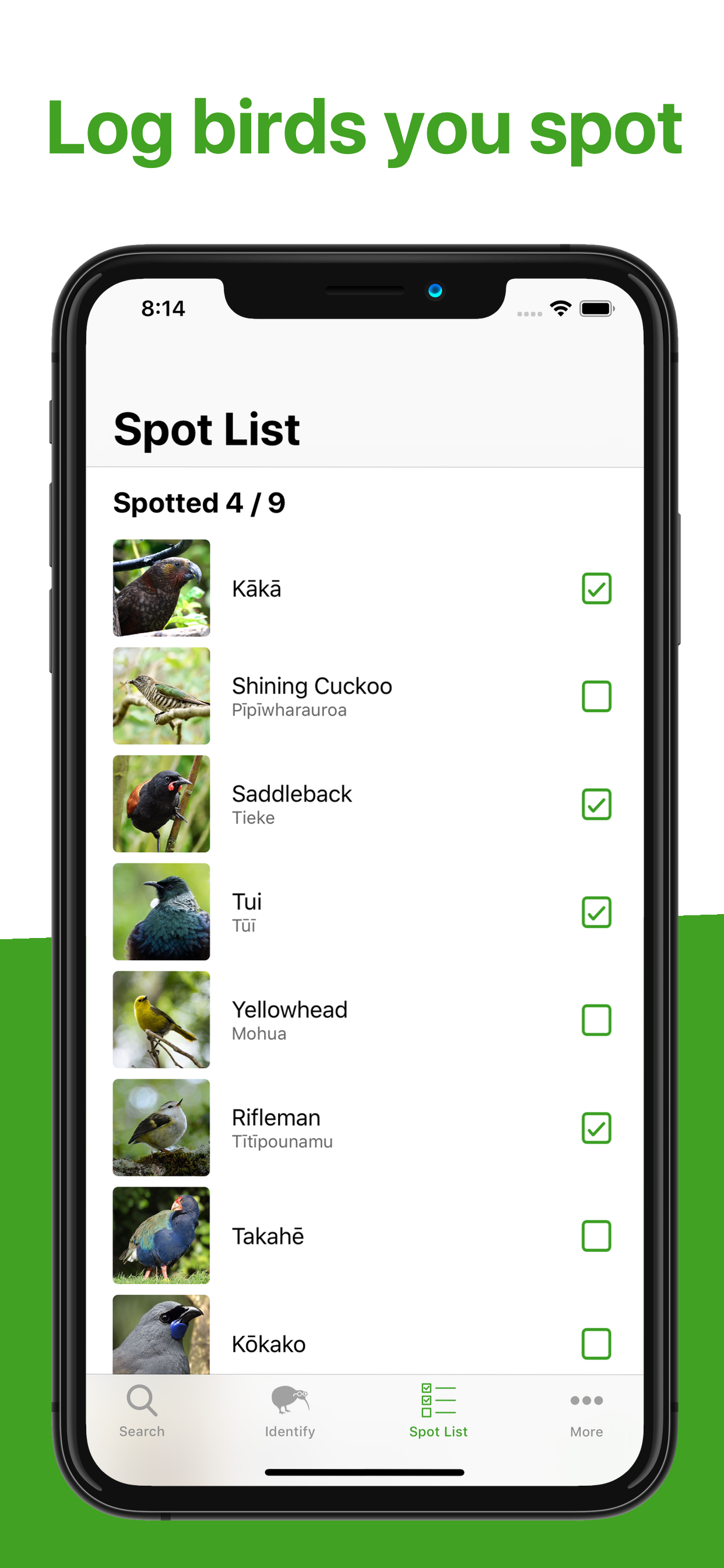Bird Nerd NZ