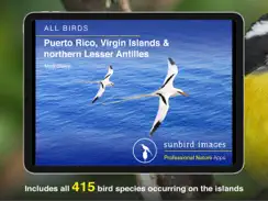 All Birds PR -> Antigua iPad image 1