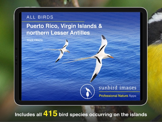 Screenshot #4 pour All Birds PR -> Antigua