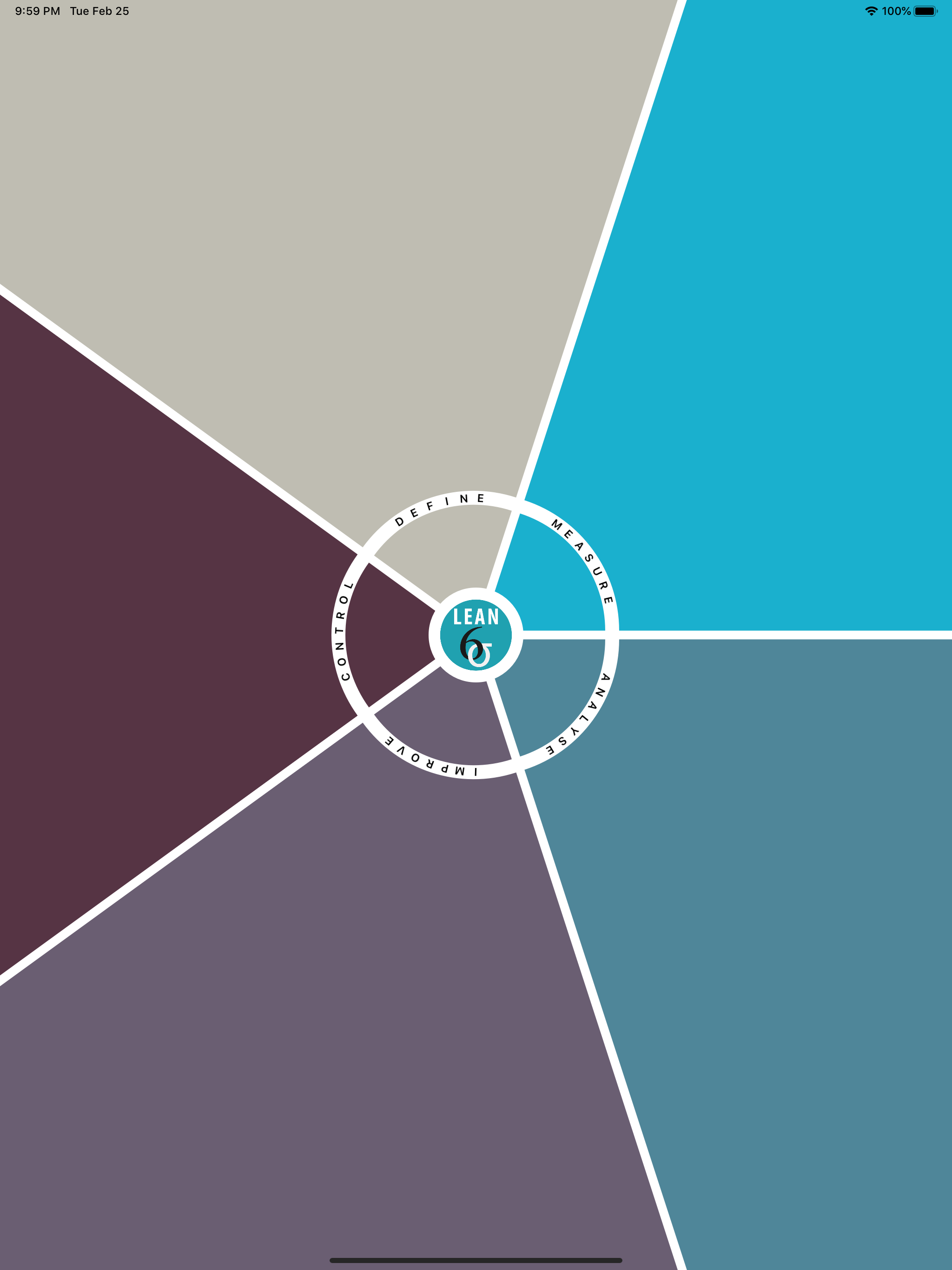 Lean Six Sigma Companion