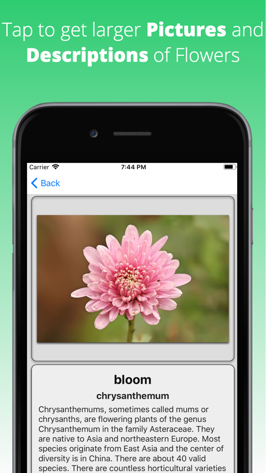 Flowers Dictionary - 2.0.0 - (iOS)
