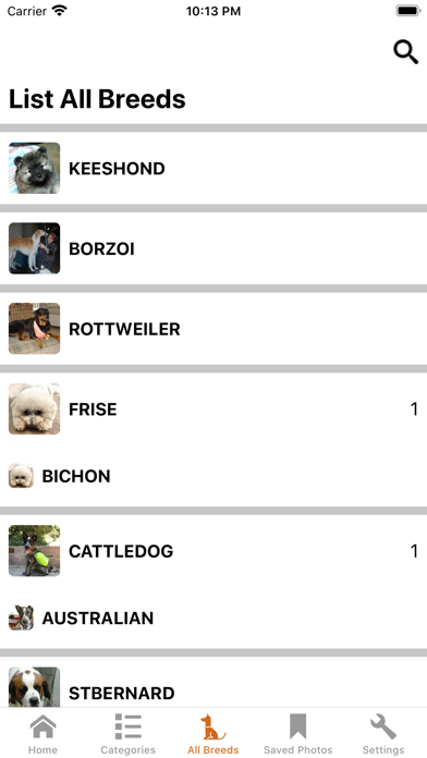Dog Master - Dog Lover App Screenshot