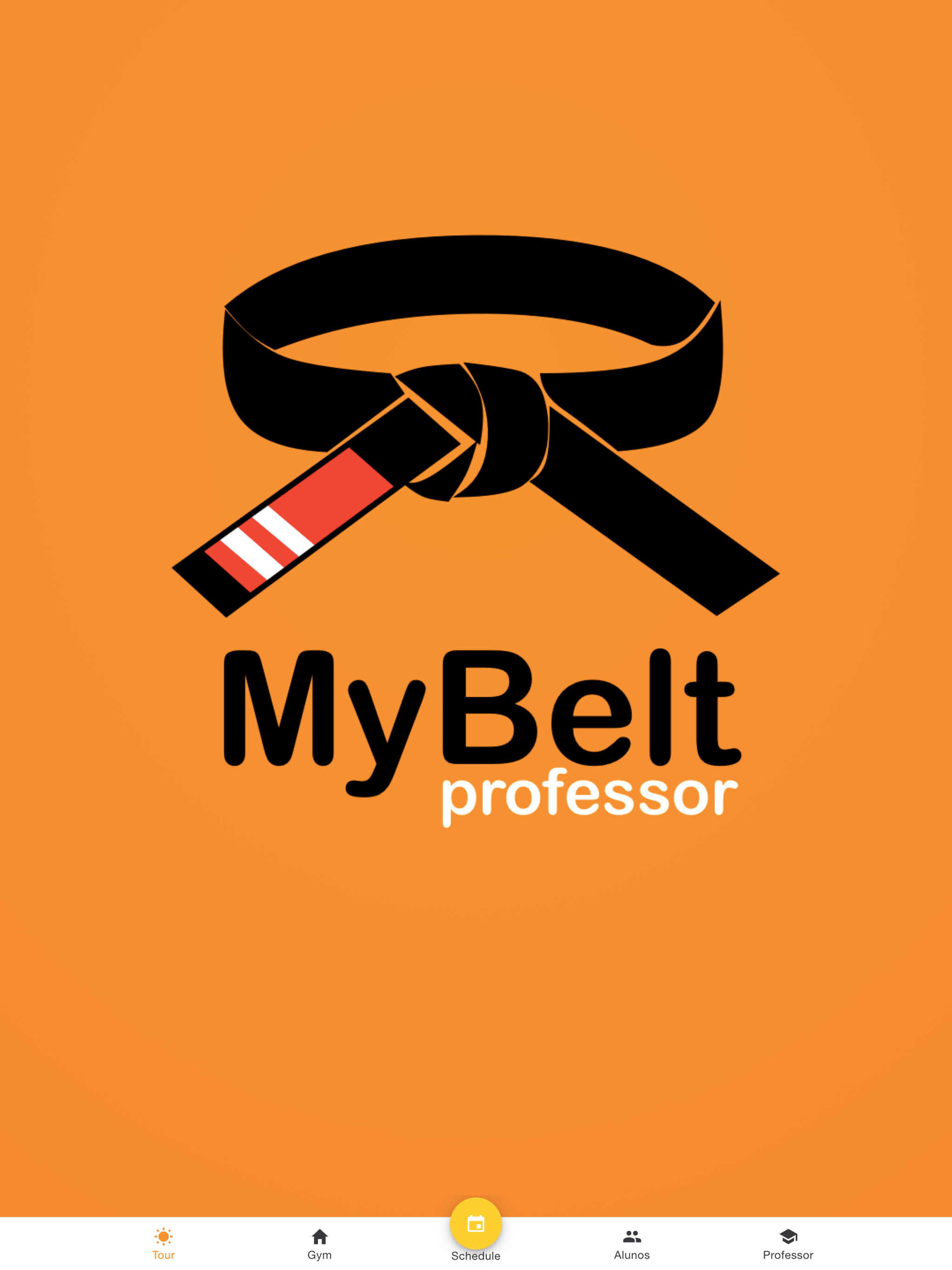 MyBelt Professor