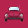 Volkswagen Beetle - Veloce Publishing