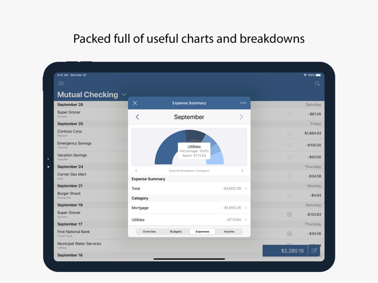 Numero: Personal Finance iPad screenshot 6 - Finance app