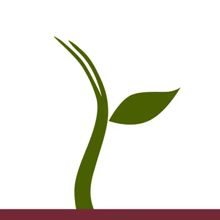 Thevenet Montessori School Cheats