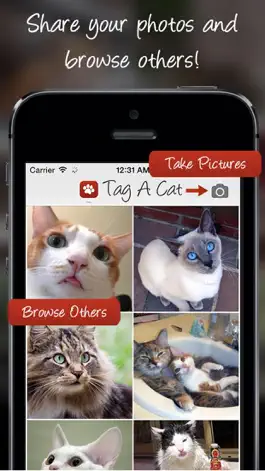 Game screenshot Tag A Cat - The Cat Photo App mod apk