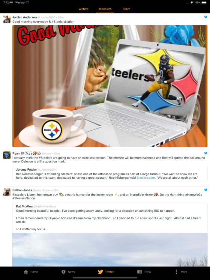 Steelers UltimateFan