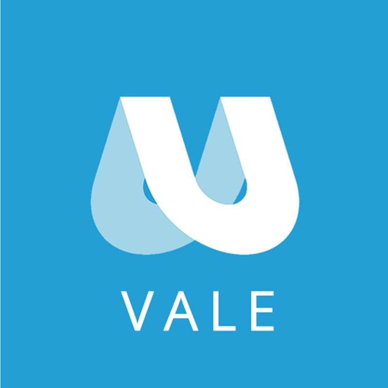 OnBus - Vale