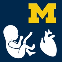 Fetal Heart Rate  logo