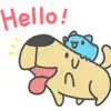 Cute Golden Dog contact information