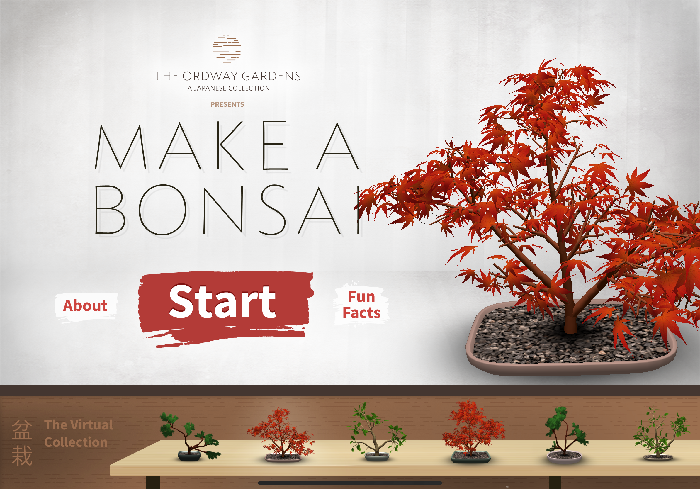 Make a Bonsai