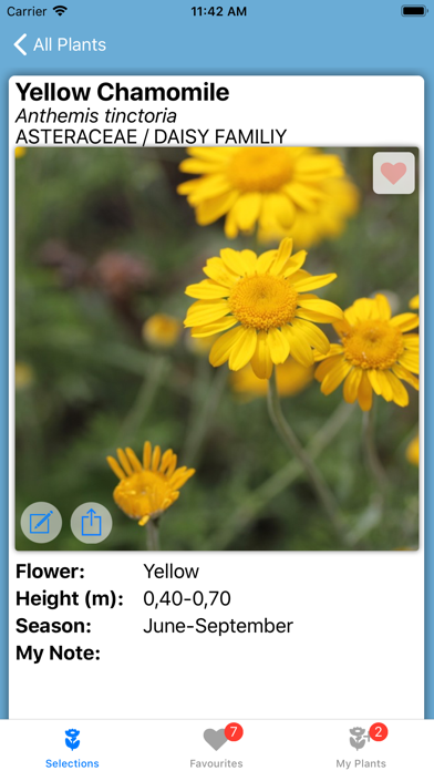 Flower Field Screenshot