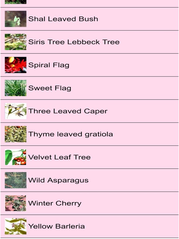 Screenshot #5 pour Ayurvedic Medicine